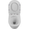 Унитаз подвесной безободковый BELBAGNO FLAY-TOR BB053CH-TOR-FC/BB2034SC